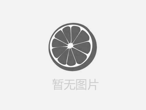 【人人講安全，個個會應急——暢通生命通道 】河南鴻宸積極參加安陽市2024年“安全宣傳咨詢?nèi)铡被顒? style=